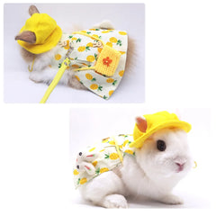 Outdoor Leash Rabbit Clothes Harness