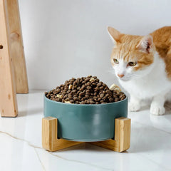 Ceramic Pet Bowl with Wood Stand