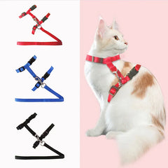 Adjustable Nylon Pet Traction