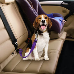 Seatbelt Lead Leash 13 Colors