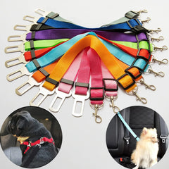 Seatbelt Lead Leash 13 Colors