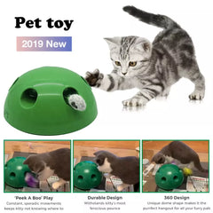 Cat Scratching Toy