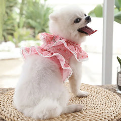 Adjustable Lace Floral Printed Pet Harness Leash