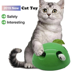 Cat Scratching Toy
