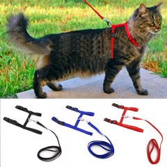 Adjustable Nylon Pet Traction