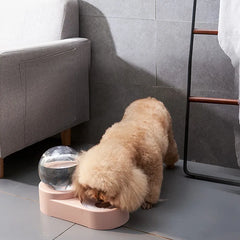 Double Automatic Water Pet Bowl