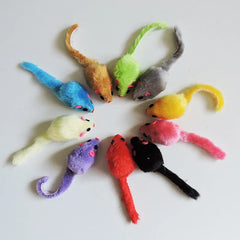 5Pcs Furry Plush Cat Toy