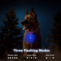 Led Pendant Rechargeable Dog Collar