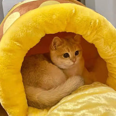 Honey Pot Cat Bed