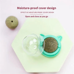 Catnip Wall Ball Cat Toy