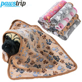 Plush Thin Pet Sleeping Blanket
