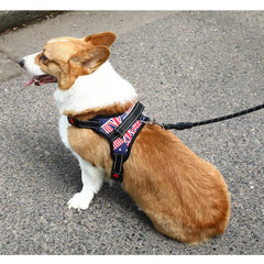 Nylon Heavy Duty Pet Harness Collar