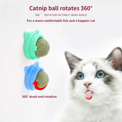 Catnip Wall Ball Cat Toy
