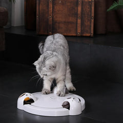 Electric Rotating Cat Toy