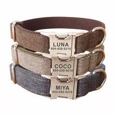Personalized ID Name Dog Collar