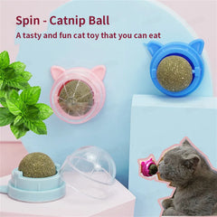 Catnip Wall Ball Cat Toy