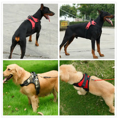 Nylon Heavy Duty Pet Harness Collar