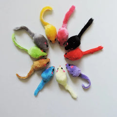 5Pcs Furry Plush Cat Toy
