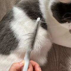 Grooming Flea Comb