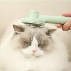 Self Cleaning Slicker Pet Brush