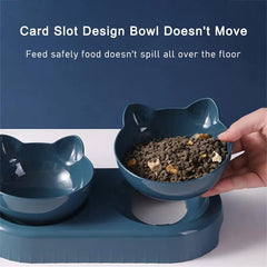 Automatic Feeder Bowl