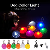 Led Pendant Rechargeable Dog Collar