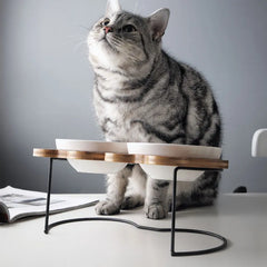 Stainless Steel Shelf Ceramic Bowl