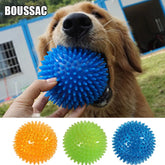 Polka Squeaky Tooth Cleaning Ball