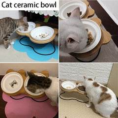 Stainless Steel Shelf Ceramic Bowl