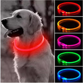 Led Light Dog Collar Detachable Glowing USB Charging