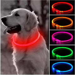Led Light Dog Collar Detachable Glowing USB Charging