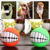 Dog Chewing Rubber Squeaky Ball