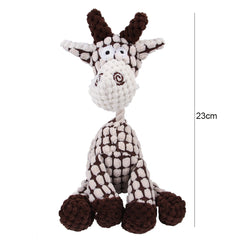 Donkey Squeaky Plush Molar Dog
