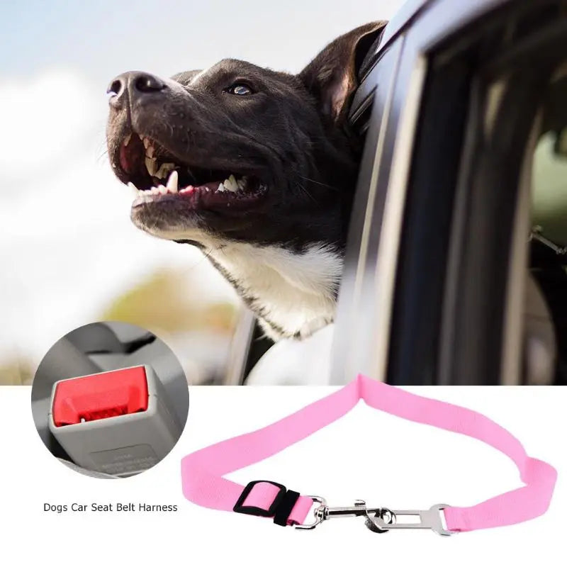 Seatbelt Lead Leash 13 Colors