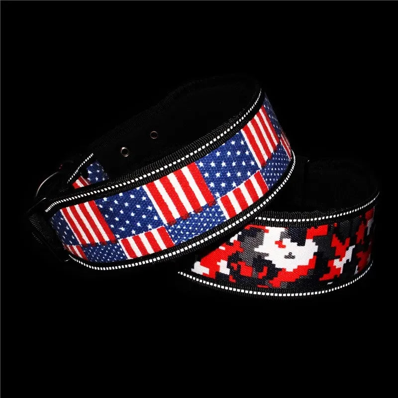 Reflective Dog Collar with Buckle Adjustable