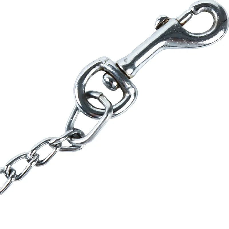 Bite Proof Heavy Duty Chain Leash