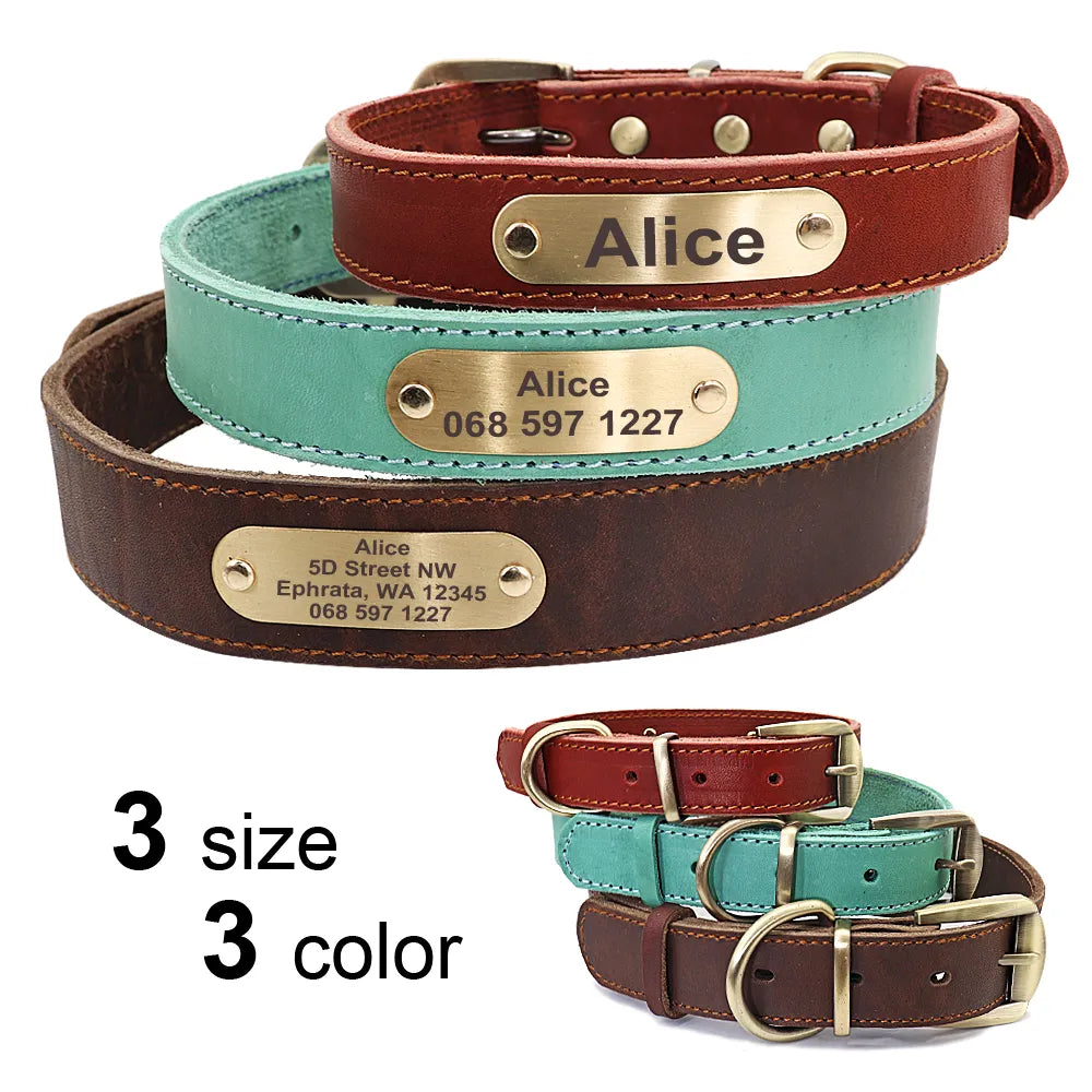 Custom Leather Dog Collar Leash