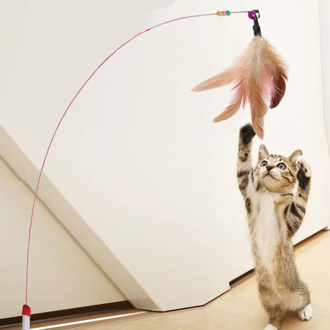 3pcs Cat Toy Random