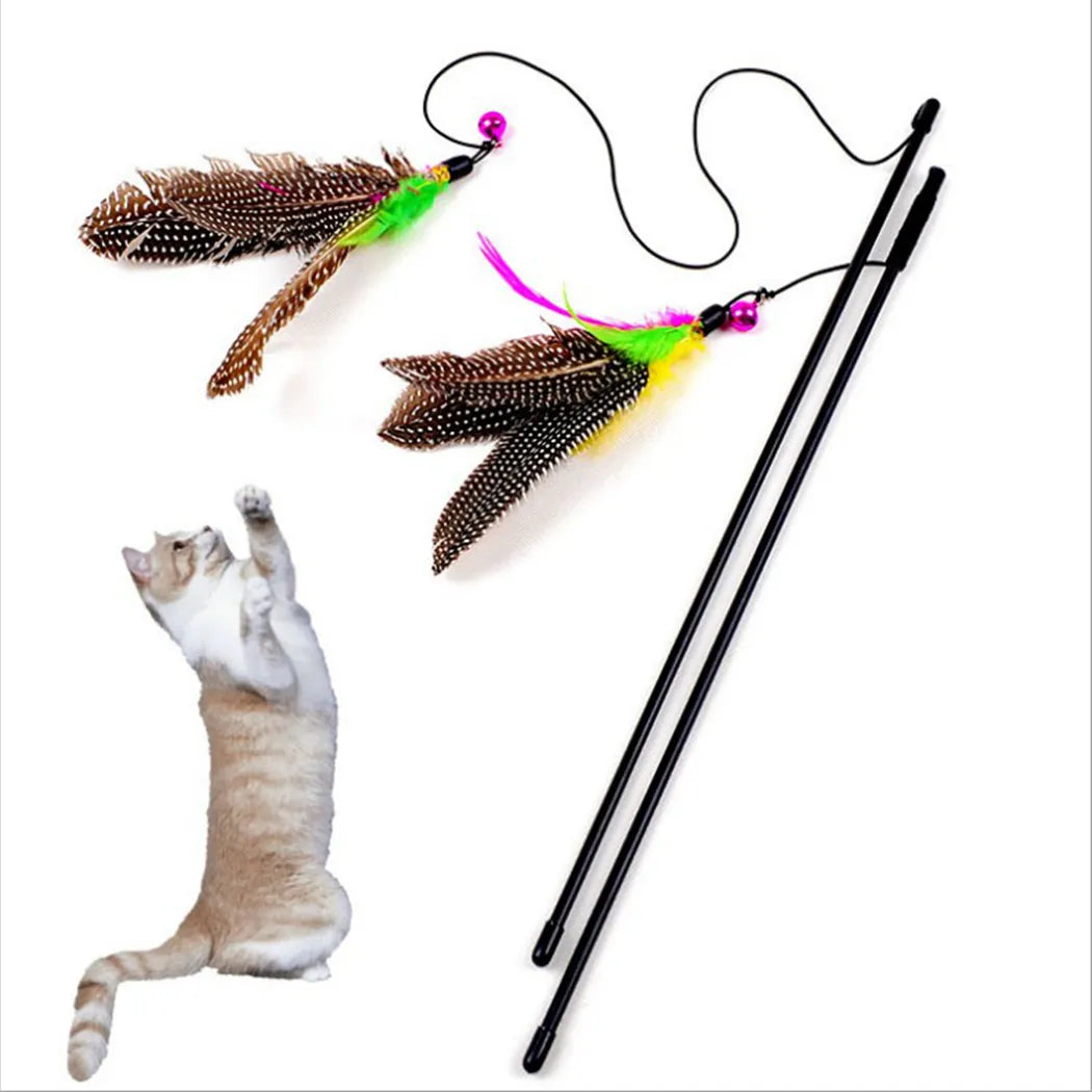 3pcs Cat Toy Random