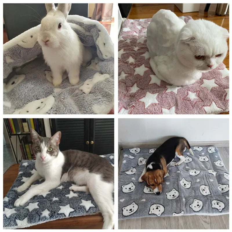 Soft Thickened Pet Mat