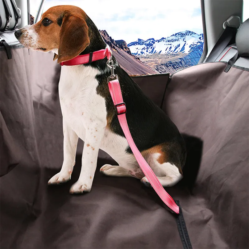 Seatbelt Lead Leash 13 Colors