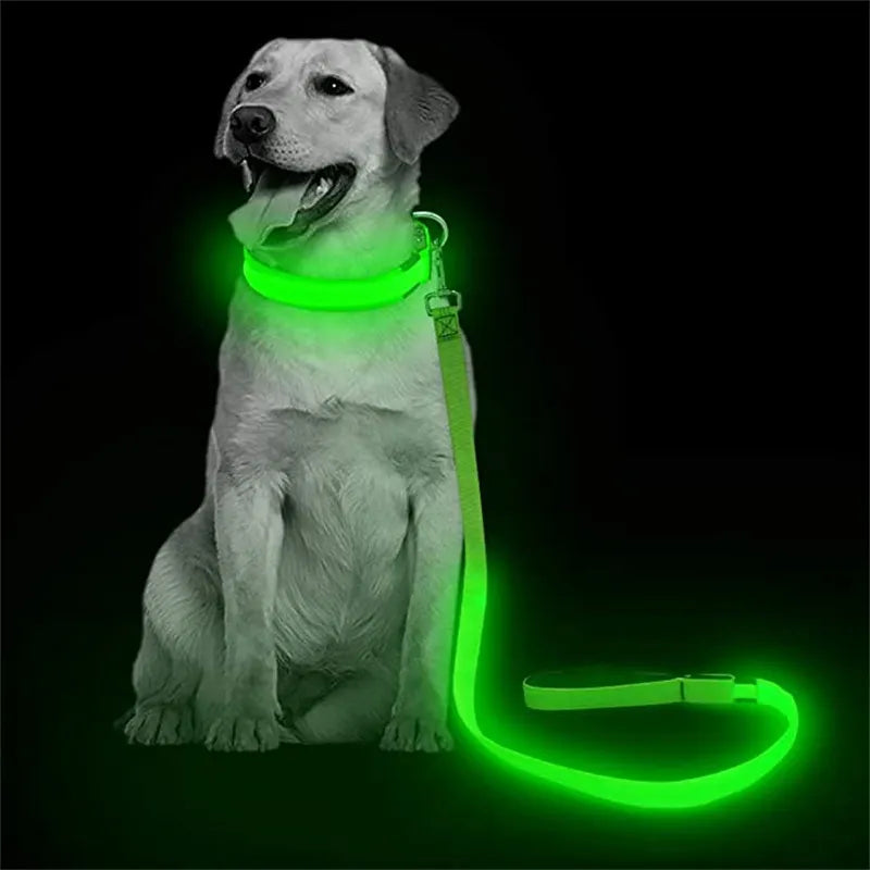 Led Glowing Leash Collar With Pendant