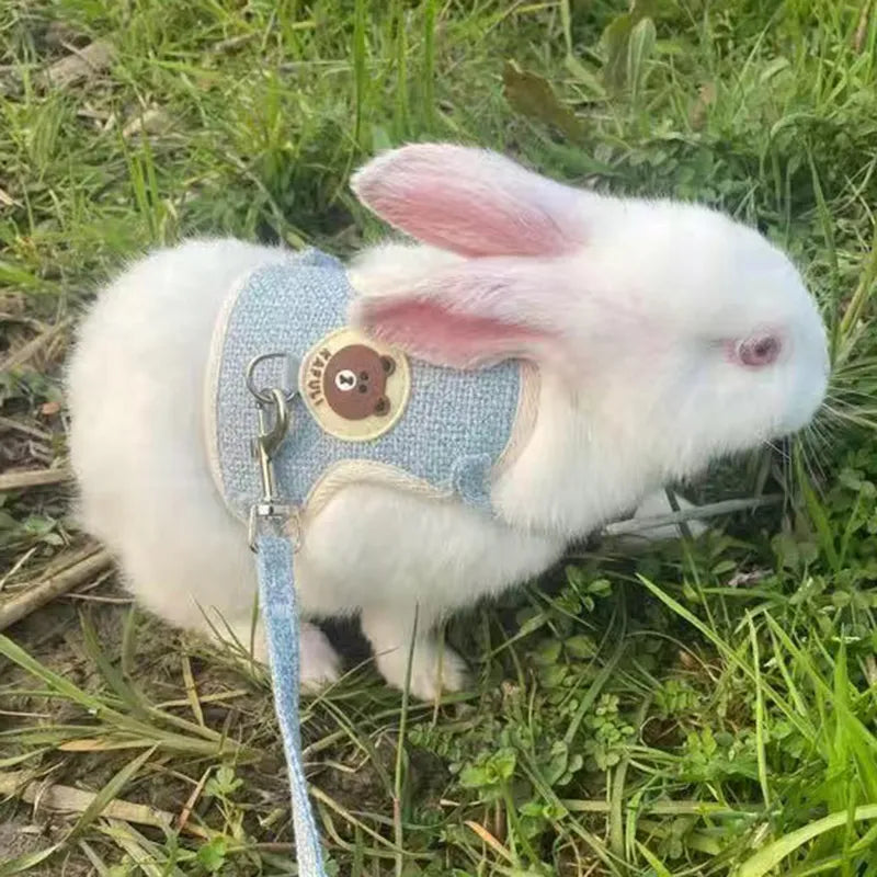 Rabbit Harness and Leash Set