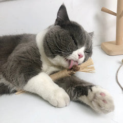 Natural Matatabi Cat Toys