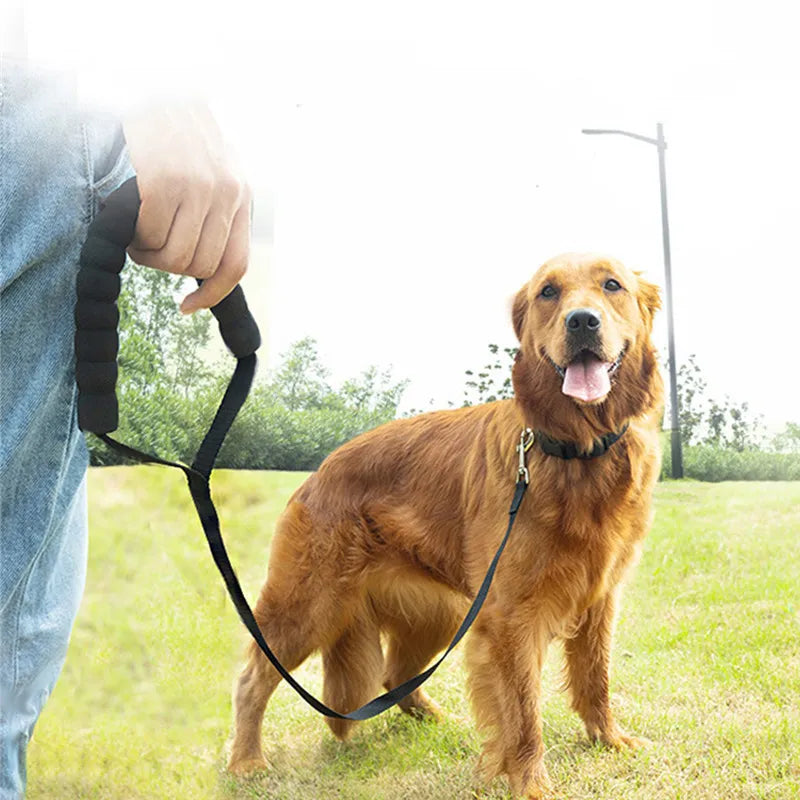 Comfortable Sponge Handle Leash