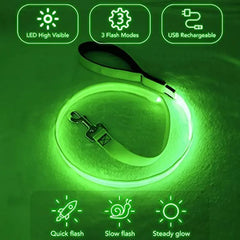 Led Glowing Leash Collar With Pendant