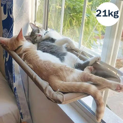 Cat Hammock With Blanket Bearing 21kg