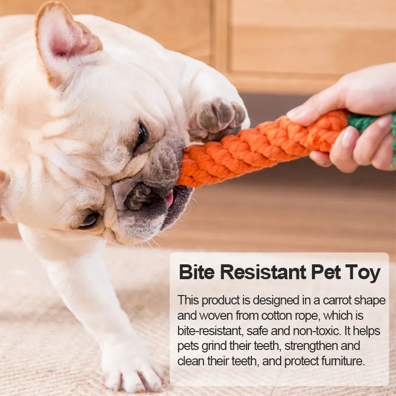 1pc Carrot Dog Toy