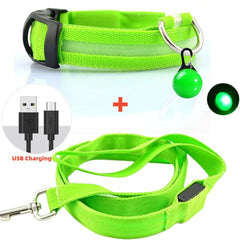 Led Glowing Leash Collar With Pendant