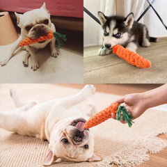 1pc Carrot Dog Toy